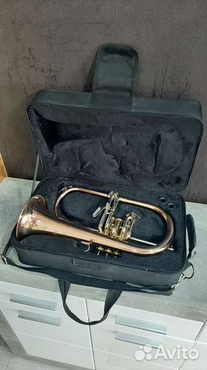 Флюгельгорн