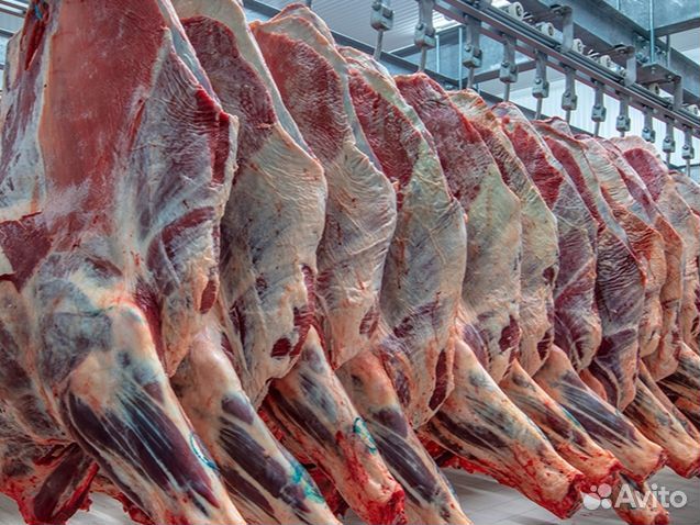 Говядина охлажденная