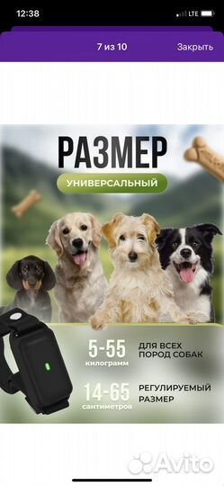 Ошейник для собак