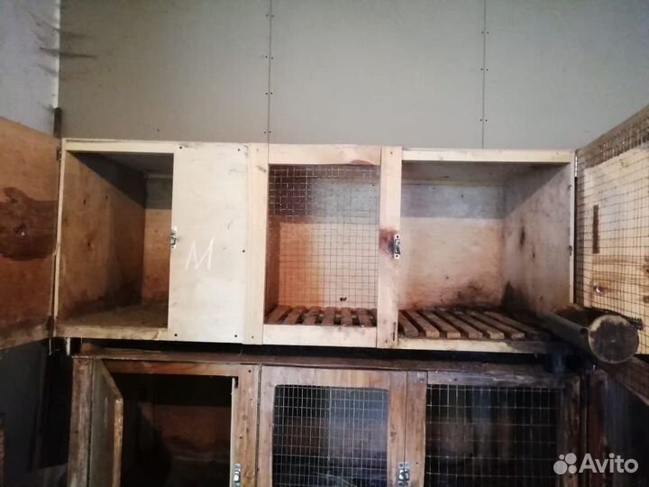 Клетки для кроликов