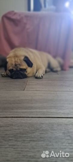 Ищу девушку для встречи