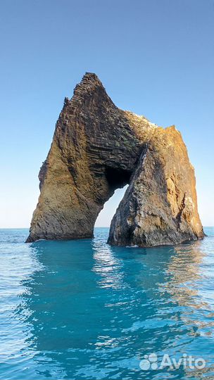 Морские прогулки