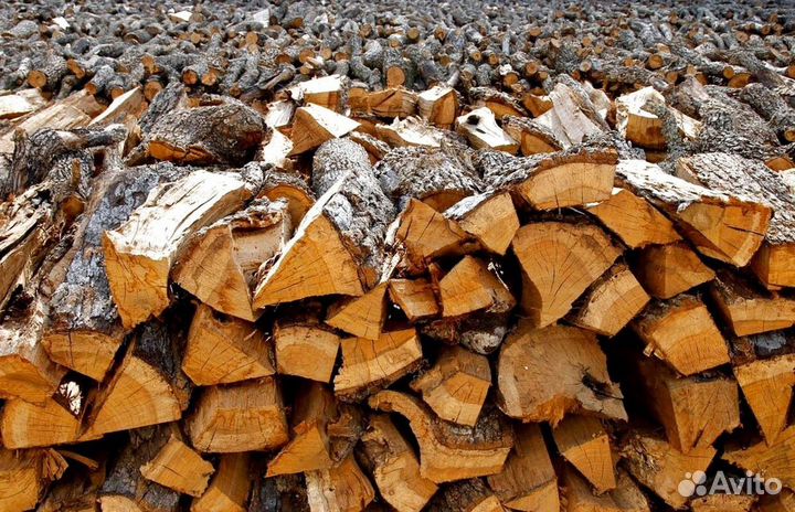 Дрова в СПБ