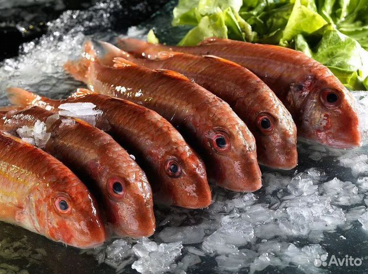 Готовый бизнес Магазин рыбы в центре