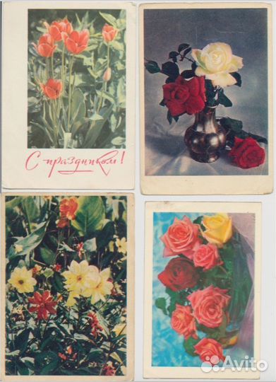 Советские открытки цветы СССР