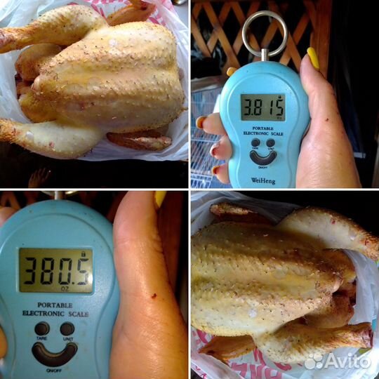 Продаются цыплята бройлеров и подрощанные