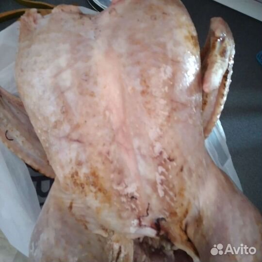 Мясо индюка,гуся