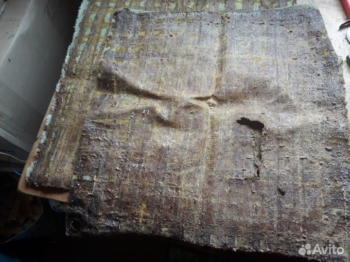 Восковая моль