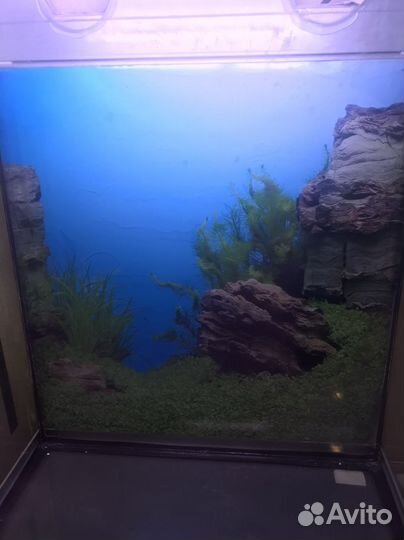 Аквариум/террариум