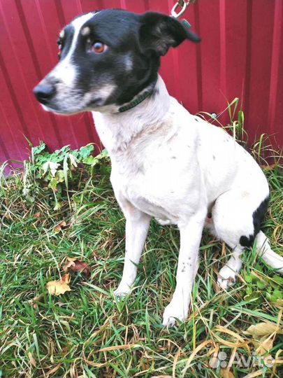 Сонечка прекрасная охранница