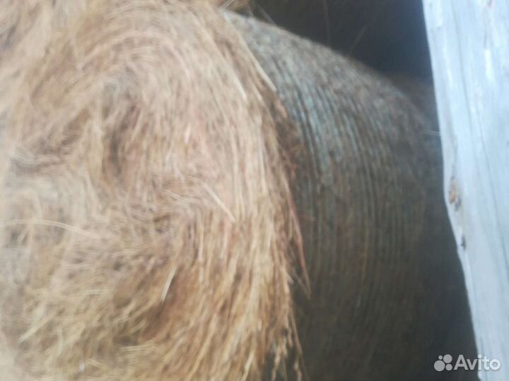 Сено в рулонах укос июль 2023