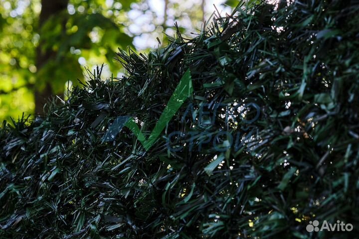 Живая изгородь