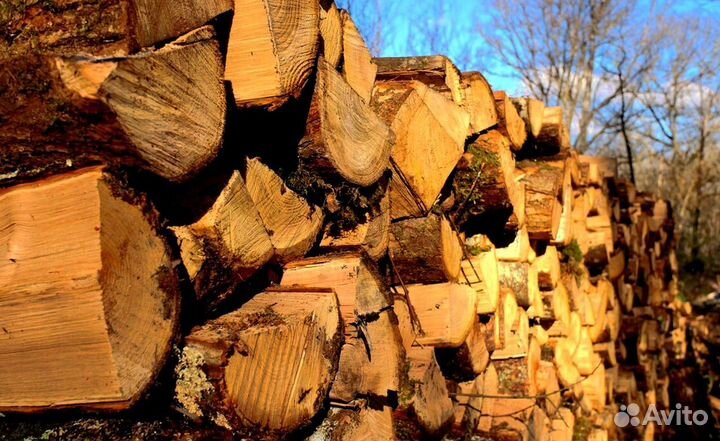 Нарубленные дрова