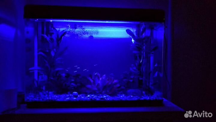 Аквариум