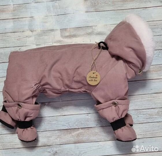 Одежда для собак