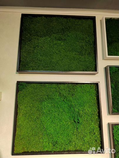 Панно из стабилизированного мха в наличии