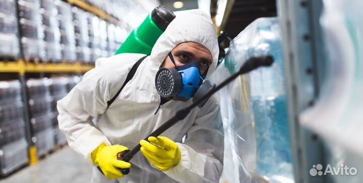 Франшиза готового бизнеса на дезинфекции