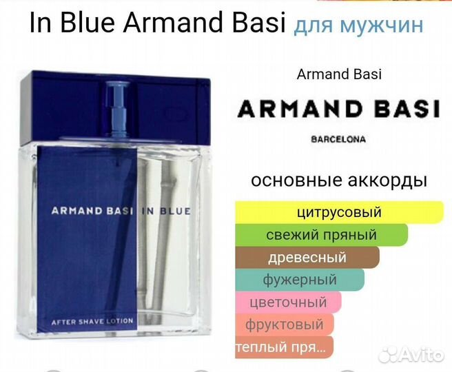 Armand basi in Blue