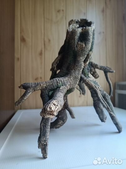 Коряга в аквариум