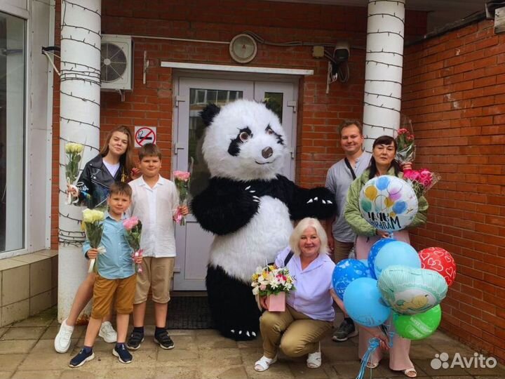 Поздравление от Панды, Мишка на праздник