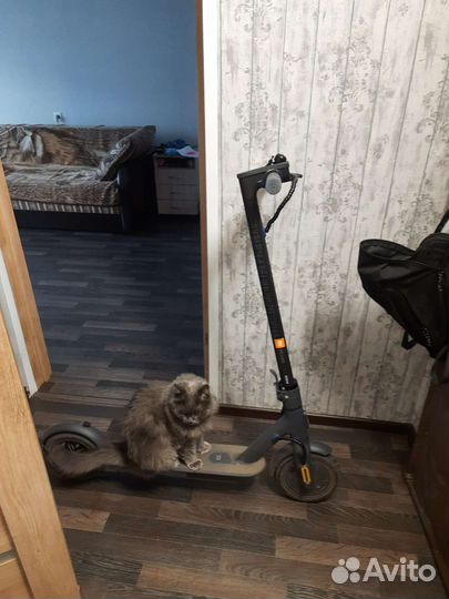 Электросамокат xiaomi mi scooter 3