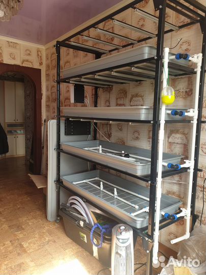 Аэропоника. Фитоосвещение. Reogen sys