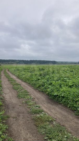 Участок 6 сот. (ИЖС)