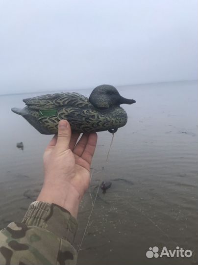 Чучела уток