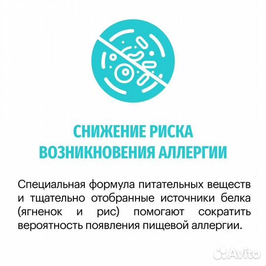 Корм Karmy для собак и кошек