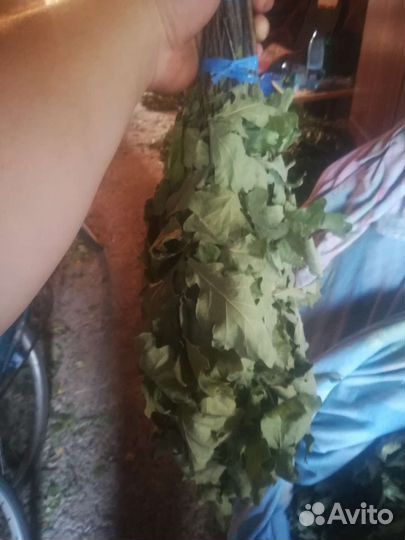 Банные веники