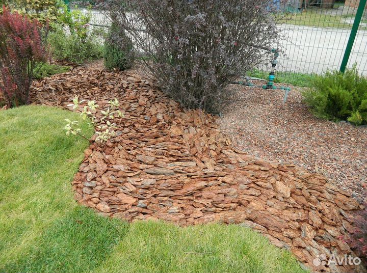 Мульча лиственницы и сосны