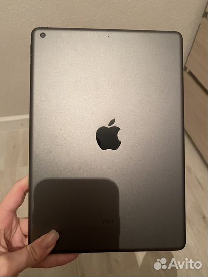iPad