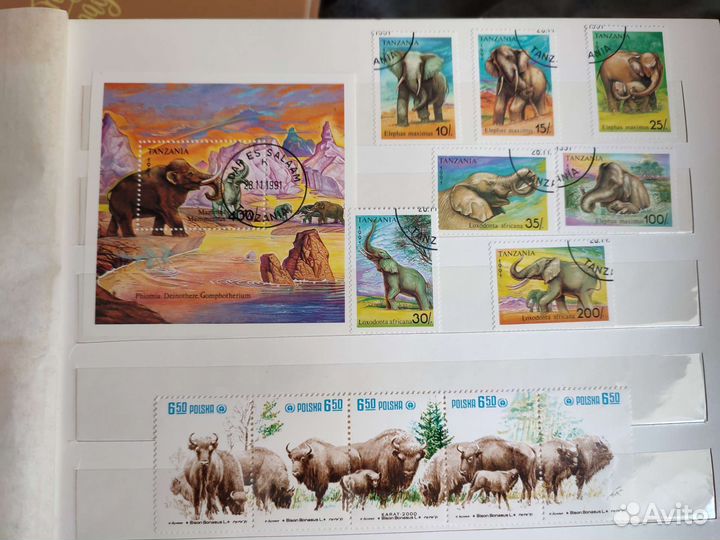 Почтовые марки СССР и других стран