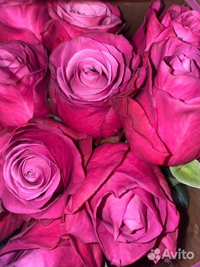 51 роза цветы букеты 101 25 21 15 розы