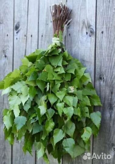 Березовые веники