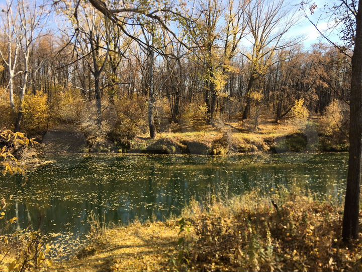 Дача 100 м² на участке 4 сот.