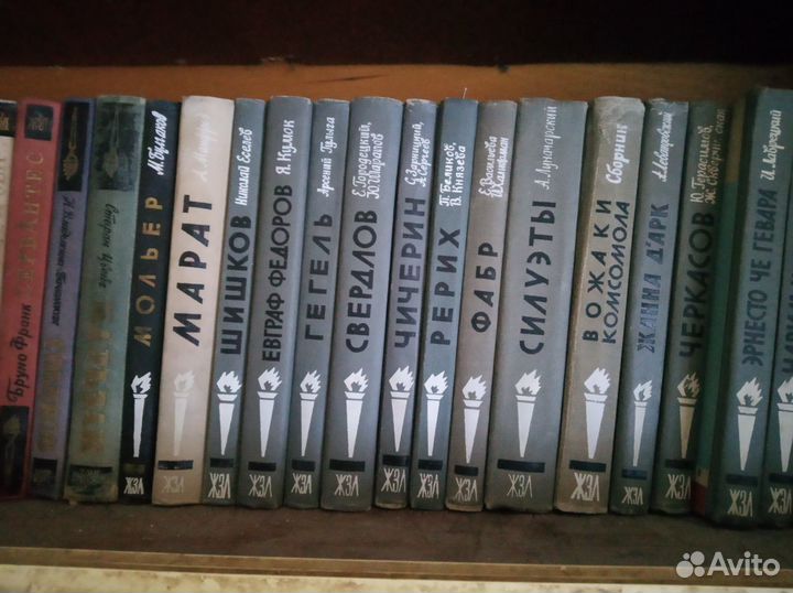 Книги Жизнь Замечательных Людей(жзл)