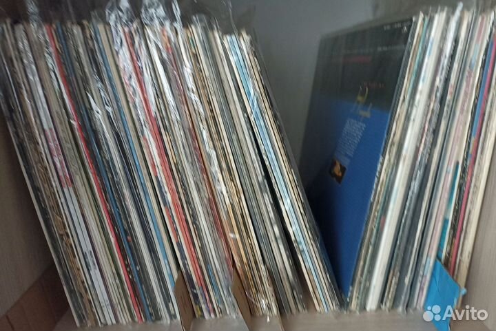 113 фирменных альбом на виниле