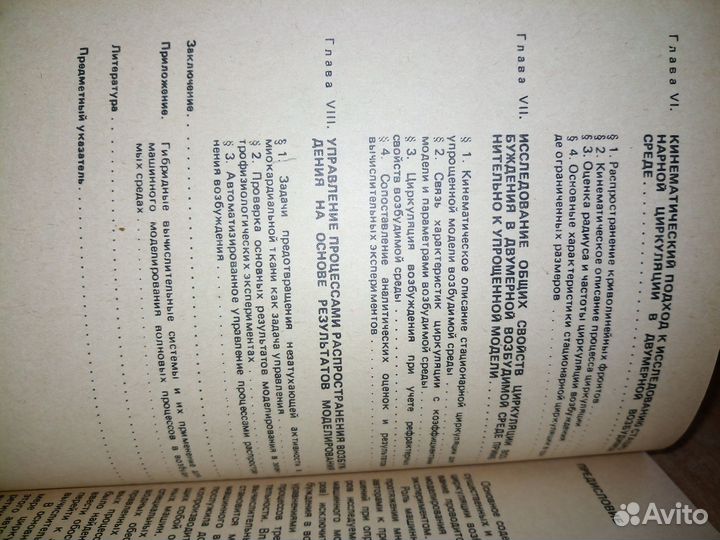 Мод-ние волновых проц-сов в возбудимых средах1984г
