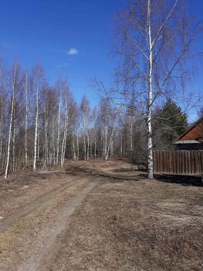 Участок 10 сот. (ИЖС)