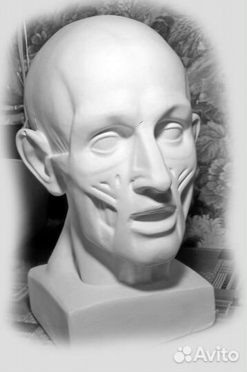 Рисование уроки академического рисунка живописи