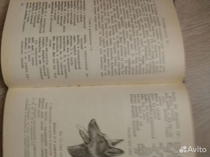 Учебник латинского языка