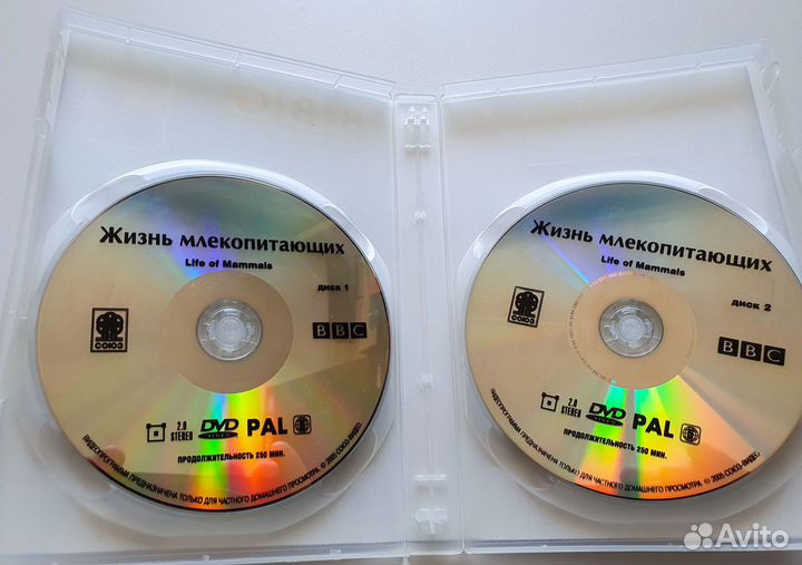 BBC: Жизнь млекопитающих (2 DVD)