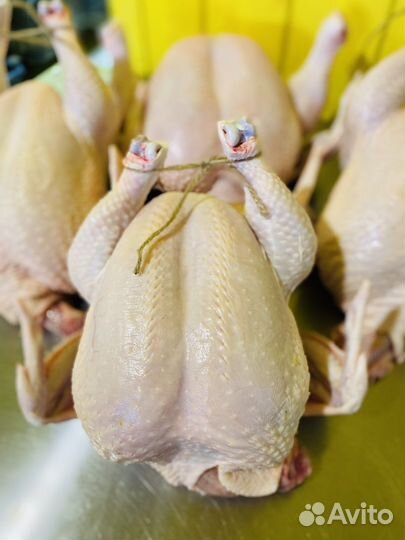 Мясо домашнее цыплят бройлеров