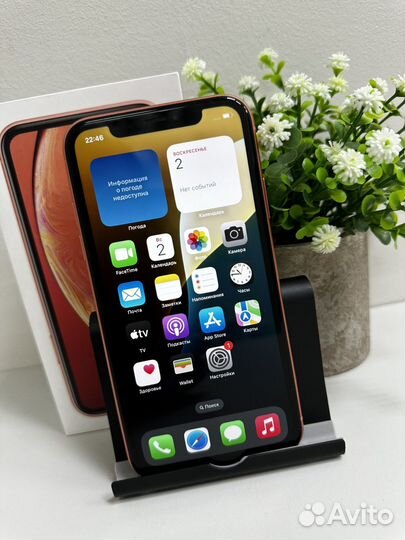 iPhone Xr, 64 ГБ