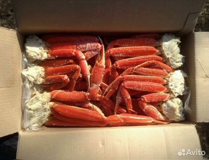Конечности краба стригуна