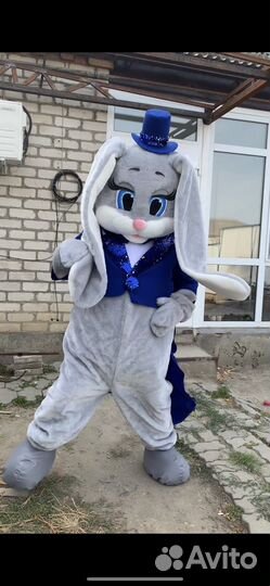 Аниматор (Тедди)