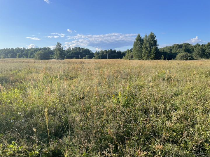 Участок 9,19 га (СНТ, ДНП)