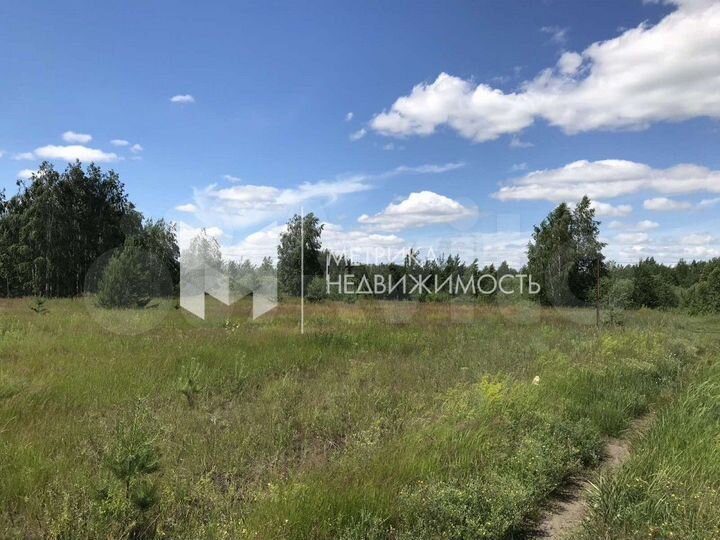 Участок 6 сот. (личное подсобное хозяйство (лпх))