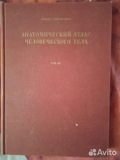 Анатомический атлас человеческого тела